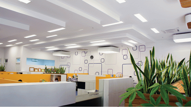 Creating a Motivating and Conducive Work Environment