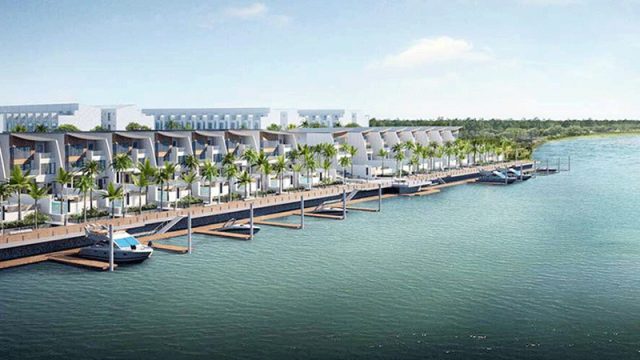 The Palm Spreads Its Leaves