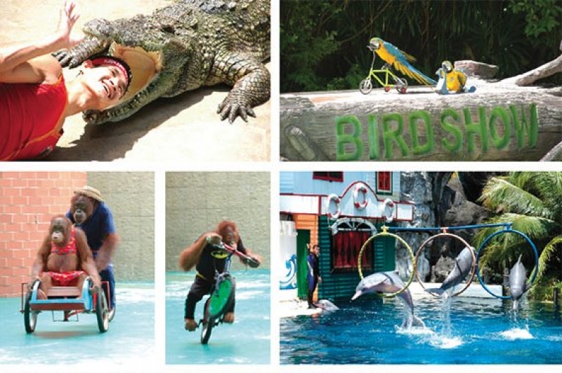 Safari World Phnom Penh to Open in April