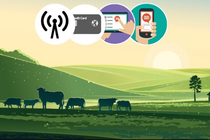 Takeo Province Chosen for Digital Village Pilot Project