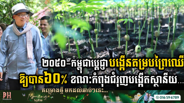 Green Horizon 2050: Cambodia’s Ambitious Forest Cover Pledge and International Nursery Initiative