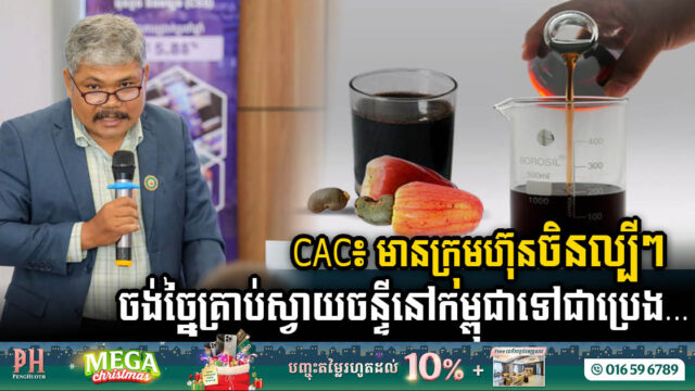 Six Chinese Firms Eye Cambodia’s Cashew Potential for Green Energy Revolution