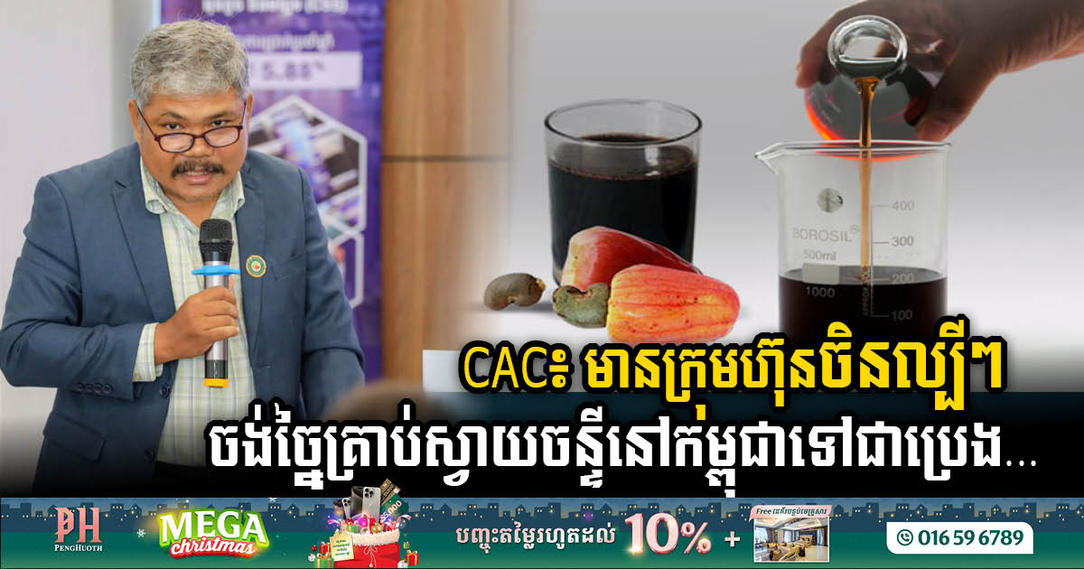 Six Chinese Firms Eye Cambodia’s Cashew Potential for Green Energy Revolution