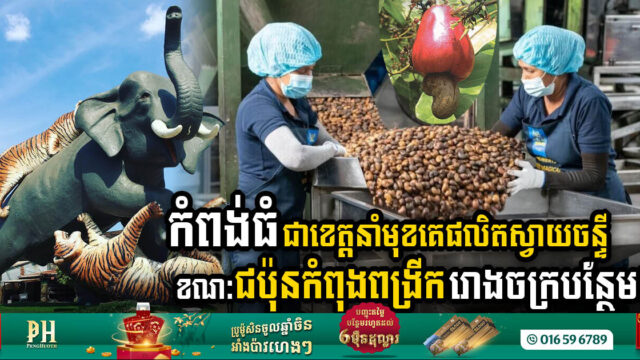 Japanese Firm Invests Over US$1m in Kampong Thom Cashew Processing Plant Expansion