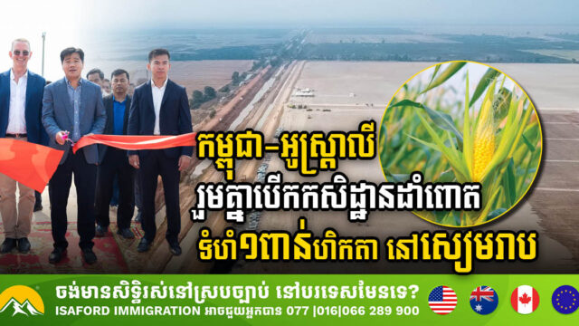 Australian-Cambodian Partnership Launches 1,000-Hectare Smart Corn Farm in Siem Reap