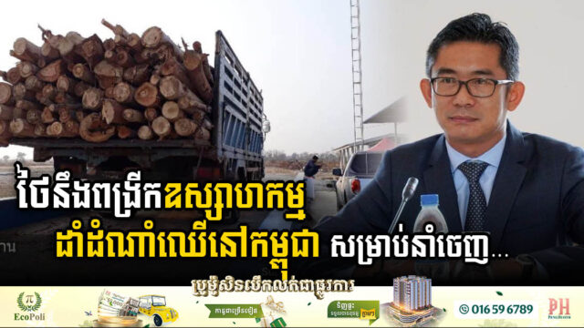 Thailand’s Paper Tree Eyes Expansion in Cambodia’s Horticultural Industry for Export