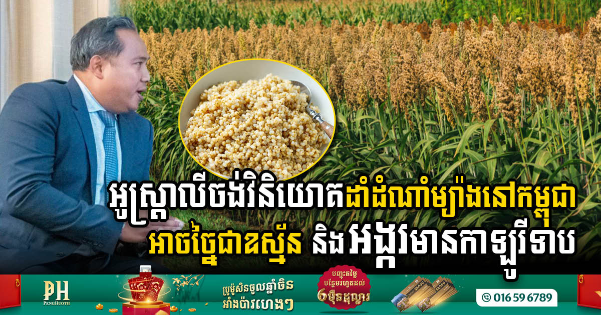 Enserv Holding Australia Explores Investment in Transformative Sorghum Processing for Biogas & High-Protein Rice in Cambodia