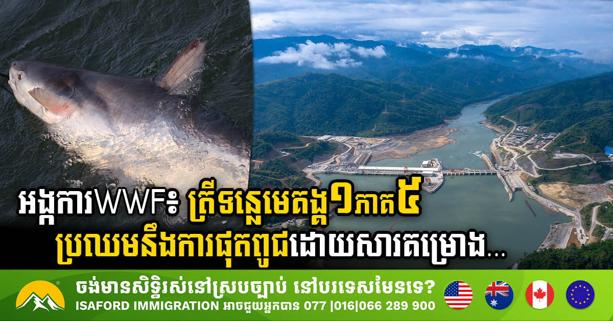 Chinese-Built Dams Imperil Mekong River Health: Threatening Extinction of 1 in 5 Fish Species