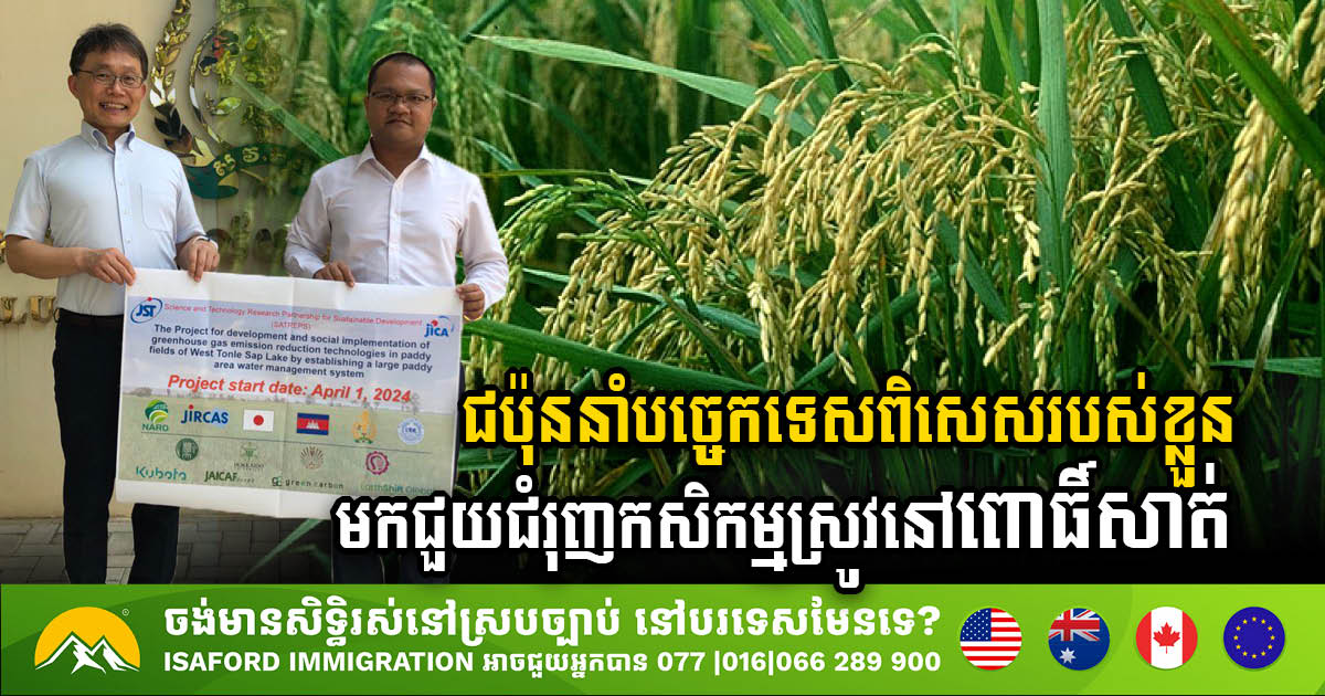 Japan Introduces Innovative Rice Farming Technology in Pursat to Combat Climate Change