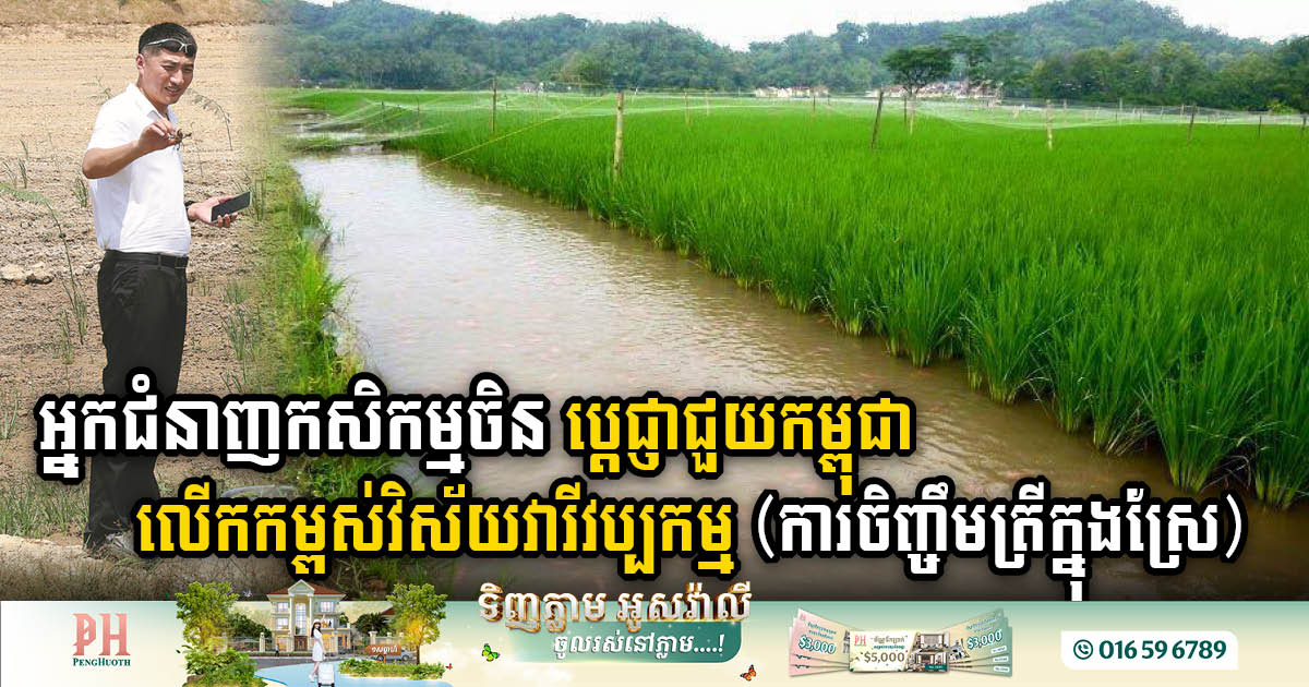 Experts from Well-known Chinese University to Boost Cambodia Rice-Fish Farming
