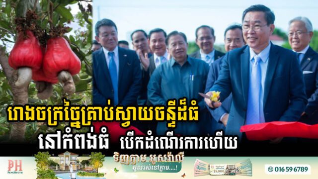 Large Kampong Thom Cashew Processing Factory with Capacity of 1.5k tons Officially Inaugurated