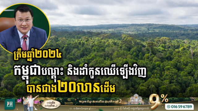 Cambodia Surpasses Goal with Over 20 Million Seedlings Planted by 2024