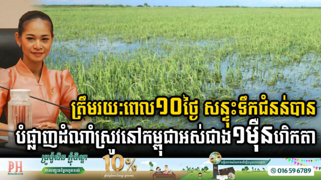 Floods Ravage Over 10,000 Hectares of Rice Fields Across Cambodia in Just 10 Days