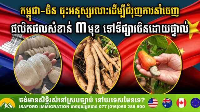 Cambodia Secures MoU on Direct Export Deal with China for Cashews, Cassava, & Bird Nests