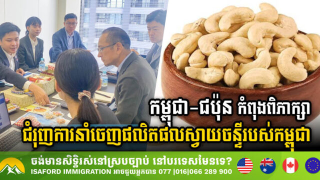 Cambodia & Japan Enhance Trade Ties to Boost Cambodia’s Cashew Export Potential
