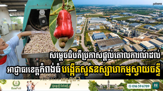 Kampong Thom to Welcome New Cashew Industrial Park Following Swift Approval by PM