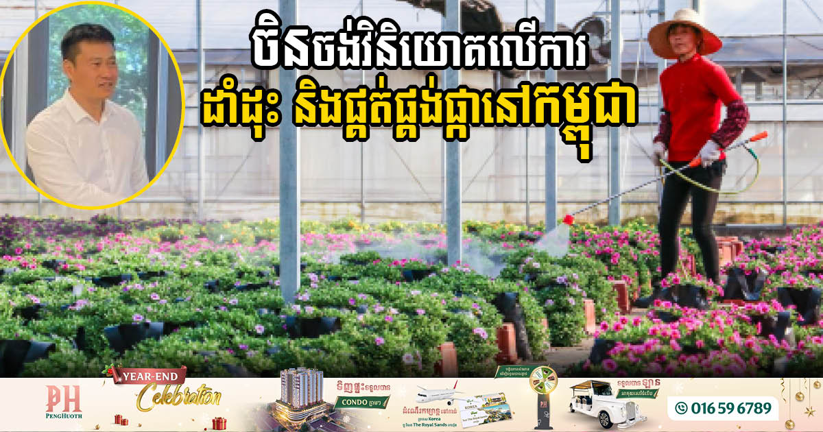 Chinese Firm to Invest in Cambodia’s Growing Flower Industry
