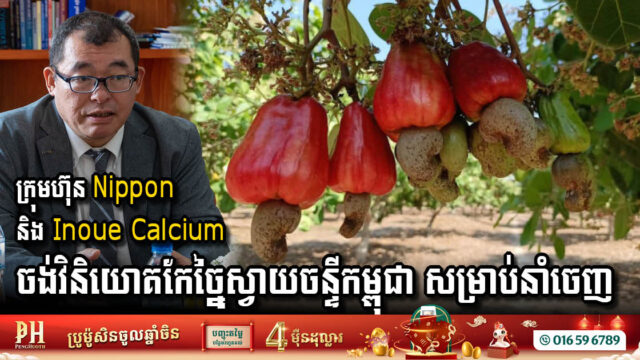 Nippon Koei & Inoue Calcium Target Cambodian Cashew Processing Industry