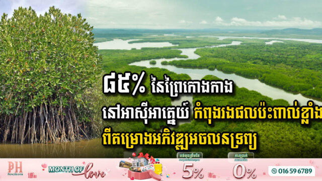 Southeast Asia’s Coastal Real Estate Development Faces Critical Balance with Mangrove Conservation