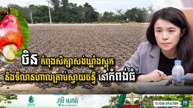 Kampong Thom Set to Become Hub for Cashew Production as Chinese Company Eyes Warehouse Development
