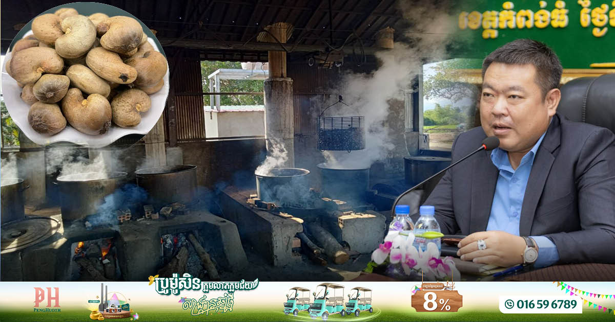 Kampong Thom Province Enhances Cashew Production with New Initiatives