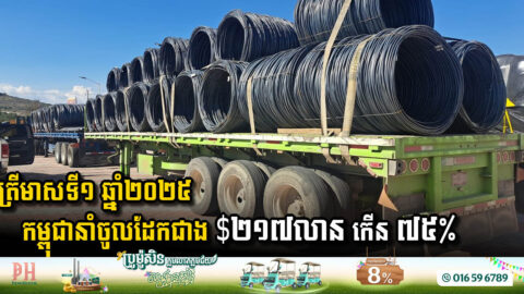 Cambodia’s Steel Imports Surge in Early 2025