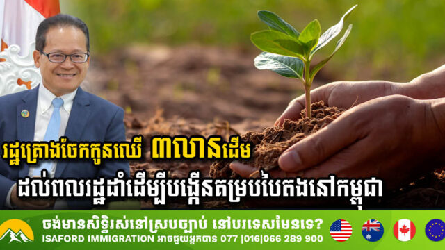Ministry of Environment to Distribute 3 Million Saplings in Cambodia’s Green Initiative