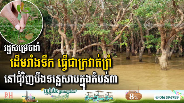 The Government Decides to Plant Large Trees as a Border Around Tonle Sap Lake in 3rd Zone