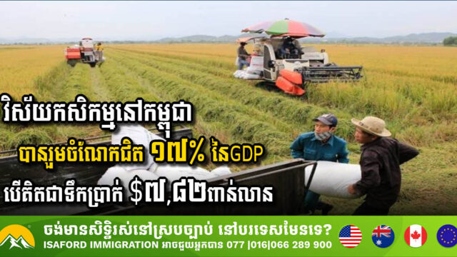 Cambodia’s Agriculture Sector Set to Boost GDP Significantly by 2024
