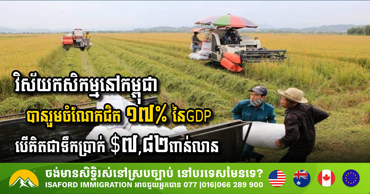 Cambodia’s Agriculture Sector Set to Boost GDP Significantly by 2024
