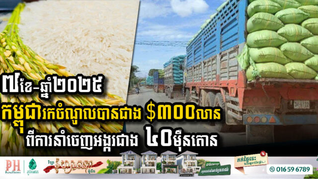 Cambodia’s Rice Exports Showcase Remarkable Growth in 2025