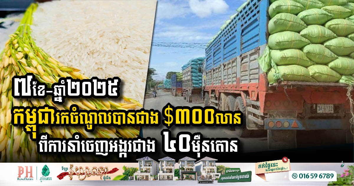Cambodia’s Rice Exports Showcase Remarkable Growth in 2025