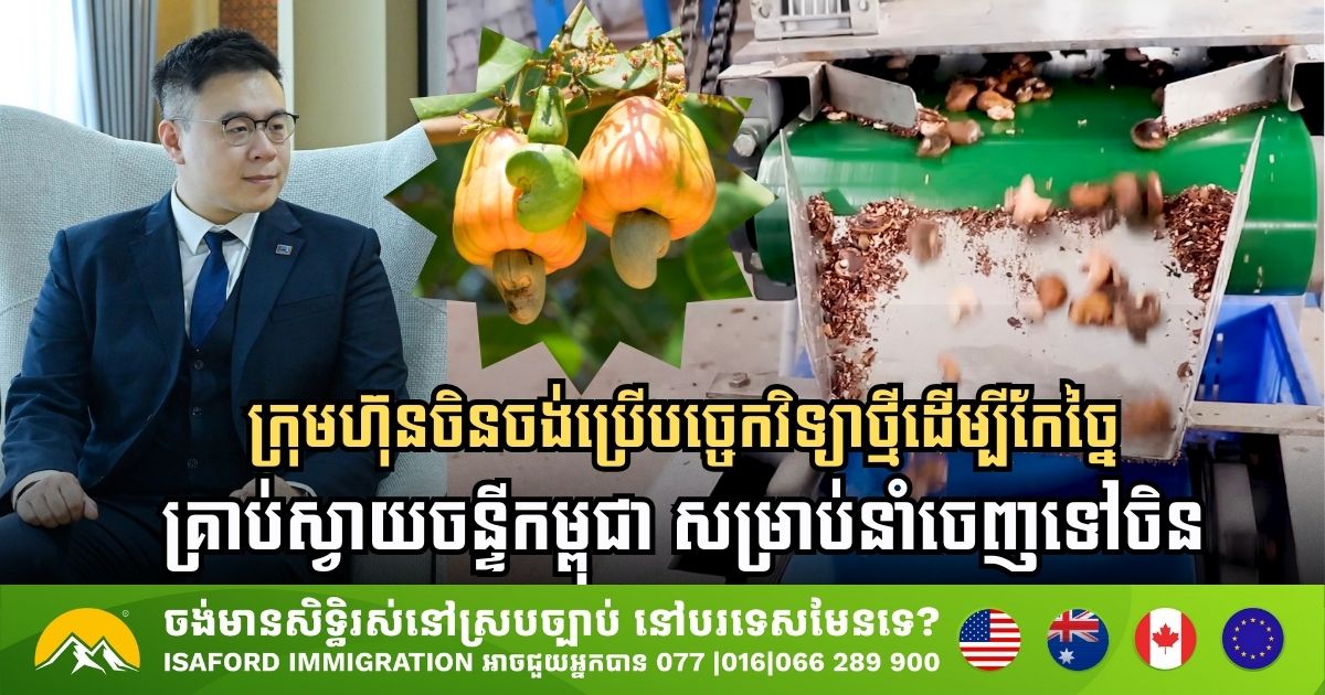Cambodian Cashew Nuts Set to Shine in Chinese Market with New Processing Plant