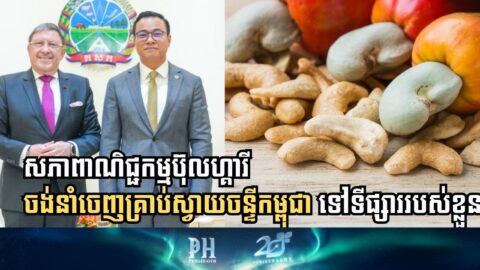 Bulgarian Chamber of Commerce Sets Sights on Cambodian Cashew Nuts