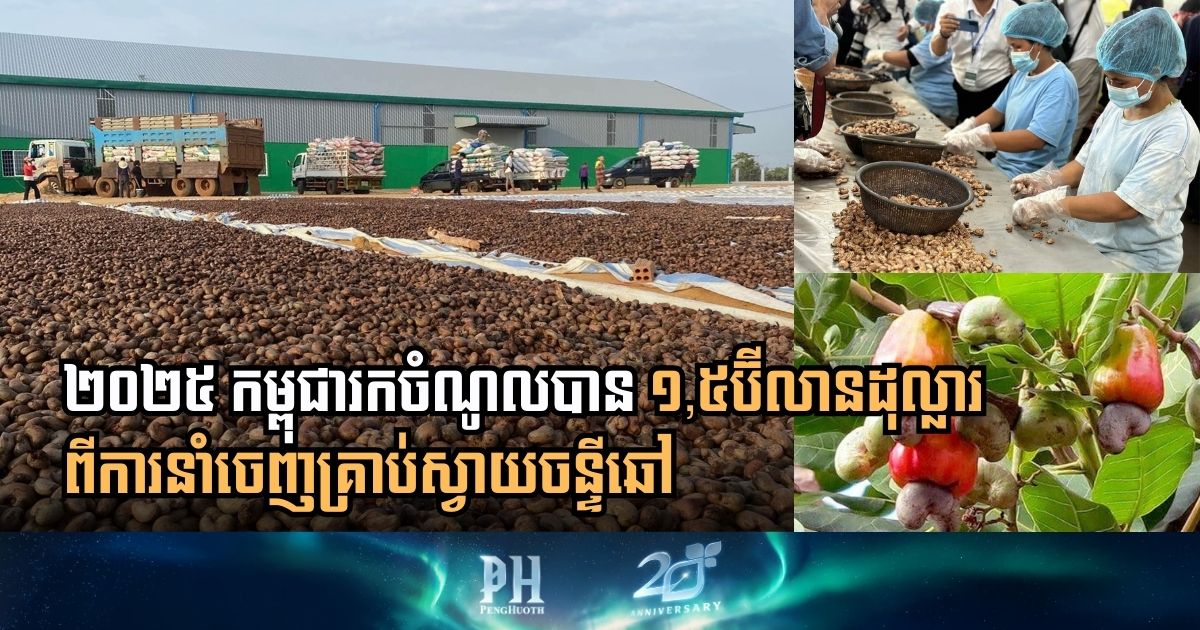 Cambodia Achieves Record-Breaking 1.5 Billion Dollar Revenue from Cashew Exports in 2025