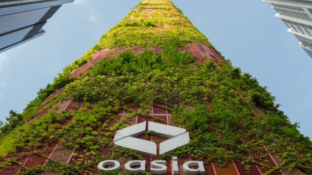 អគារ Oasia សិង្ហបុរីឈ្នះរង្វាន់ អគារខ្ពស់ល្អបំផុតលើពិភពលោក