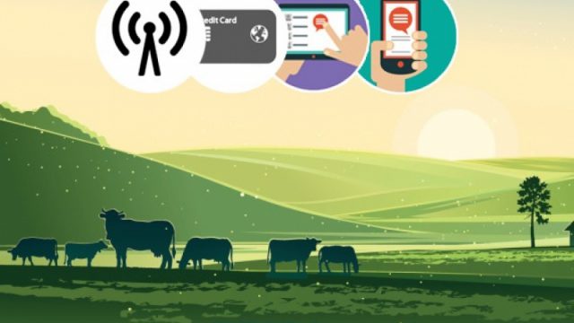 ខេត្តតាកែវត្រូវបានជ្រើសរើសសម្រាប់គម្រោងភូមិឌីជីថល