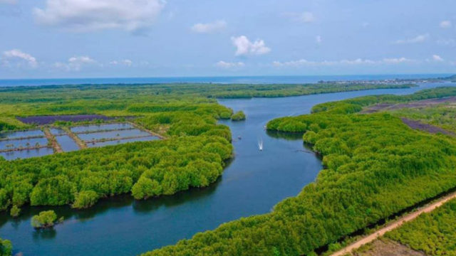 More than 50,000 hectares in two sanctuaries registered as state land