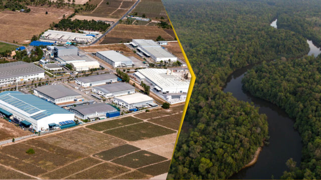 រដ្ឋអនុញ្ញាតឱ្យក្រុមហ៊ុន Royal Group បង្កើតតំបន់សេដ្ឋកិច្ចពិសេសនៅកោះកុង