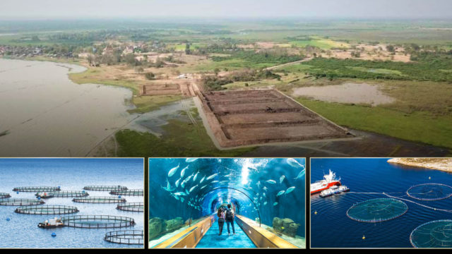 គម្រោងវារីវប្បកម្មនិងតំបន់ទេសចរណ៍ដ៏ធំគ្រោងនឹងបង្ហាញខ្លួននៅស្រុកព្រៃឈរខេត្តកំពង់ចាម