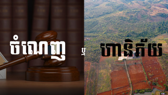 តើការទិញអចលទ្រព្យលក់ឡៃឡុងពីតុលាការអាចជួបហានិភ័យដែរទេ?