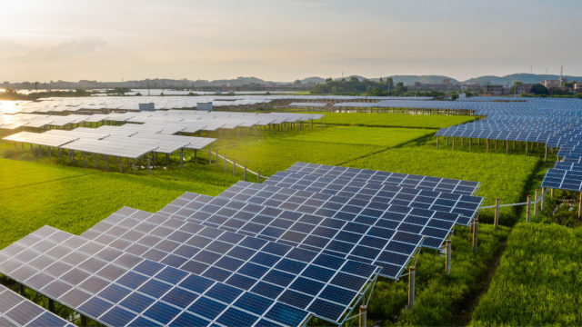 ក្រសួងកំពុងដាក់ឱ្យដេញថ្លៃ គម្រោងរោងចក្រសូឡាអនុភាព ៤០មេហ្គាវ៉ាត ថ្មីមួយកន្លែងរបស់ ADB