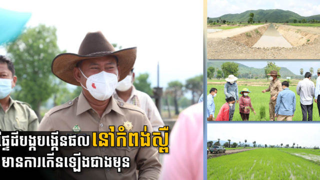 Kampong Speu’s Cultivated Area Increases to Over 120k ha Despite Growth of Factories
