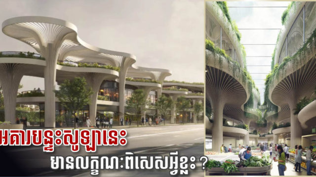 ក្រុមហ៊ុនអូស្រ្តាលីគ្រោងសាងសង់ អគារបន្ទះសូឡារូបរាងដូចដើមឈើពិត នៅទីក្រុងសៀងហៃ