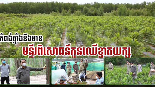 កម្ពុជាគ្រោងប្ដូរមុខមាត់ដី ៣ម៉ឺនហិកតានៅកំពង់ឆ្នាំង ទៅជាមជ្ឈមណ្ឌលស្រាវជ្រាវពូជឈើខ្នាតធំ