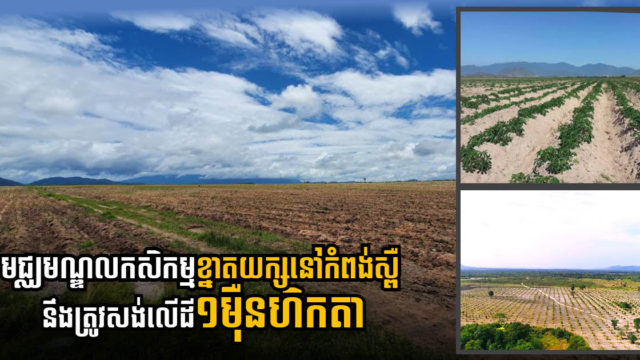 ក្រុមហ៊ុនសិង្ហបុរីបានការអនុញ្ញាតបង្កើតមជ្ឈមណ្ឌលកសិកម្មខ្នាតយក្សលើដី១មុឺនហិកតានៅកំពង់ស្ពឺ