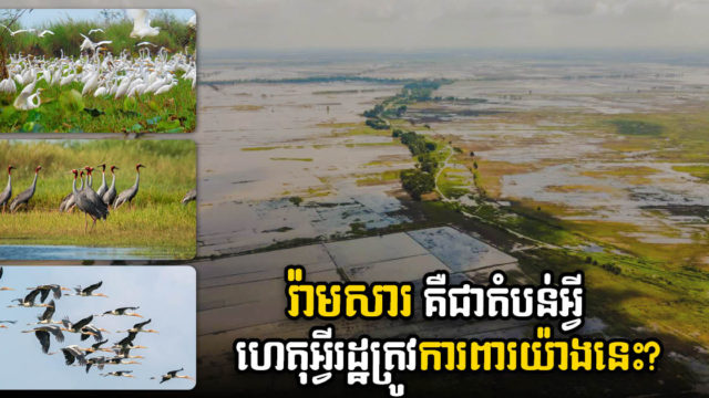 ក្រសួងកាត់យកដីនៅបឹងព្រែកល្ពៅក្នុងខេត្តតាកែវដាក់ជាតំបន់ការពារអន្តរជាតិ Ramsar