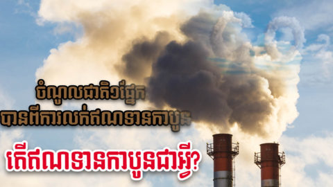 ឥណទានកាបូនជាអ្វី? មានន័យដូចម្ដេចសម្រាប់កម្ពុជា និងមានសារៈសំខាន់យ៉ាងណា?