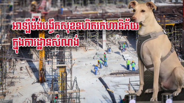 អាឡឺម៉ង់បង្វឹកសុខនហិតរកហានិភ័យក្នុងការដ្ឋានសំណង់នានានៅតំបន់ដាច់ស្រយាល