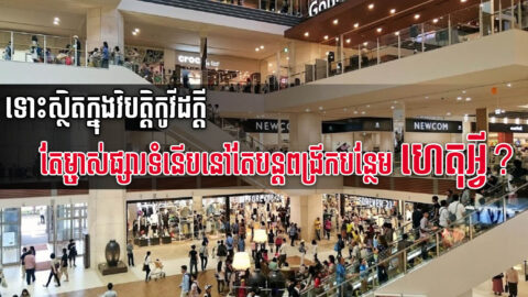 ហេតុអ្វីម្ចាស់ផ្សារទំនើបនីមួយៗ បន្ដពង្រីកអាជីវកម្ម និងសង់ផ្សារបន្ថែមក្នុងអំឡុងវិបត្តិកូវីដនេះ?